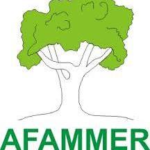 AFAMMER