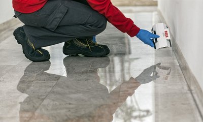 �Qu� plagas son m�s comunes en invierno?