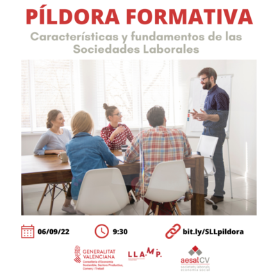Caracter�sticas y fundamentos de las Sociedades Laborales