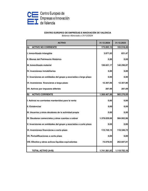Cuentas anuales CEEI VLC 2024