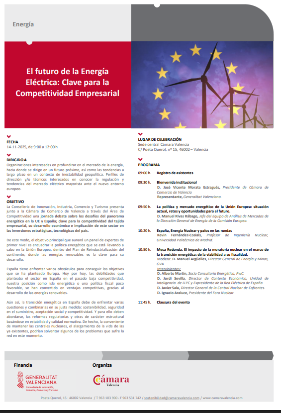 Programa El futuro de la Energía Eléctrica