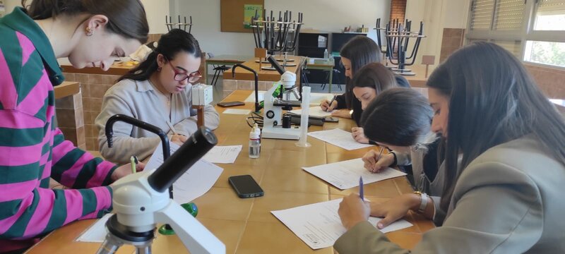 La importancia de despertar la curiosidad científica desde la enseñanza