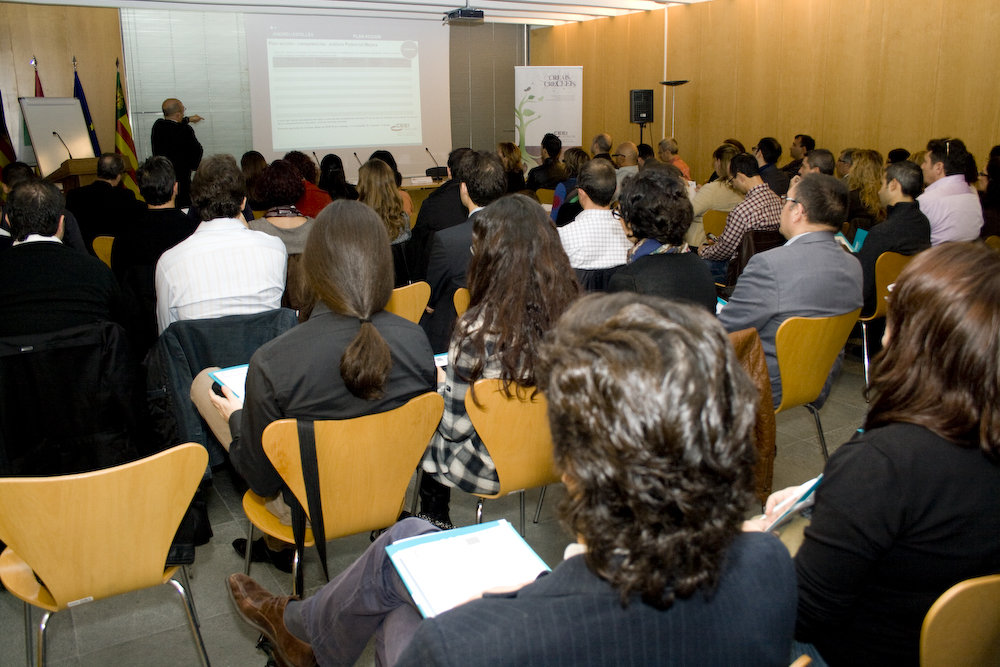 Como establecer el plan de acción