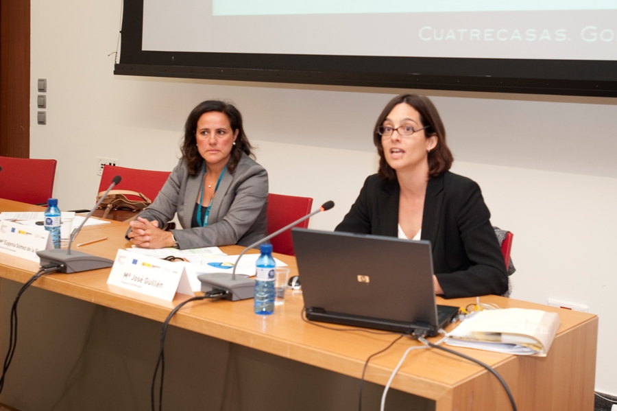 forma juridica DPECV 2009