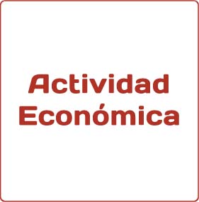 2015.11.05 Informaci�n Actividad Econ�mica