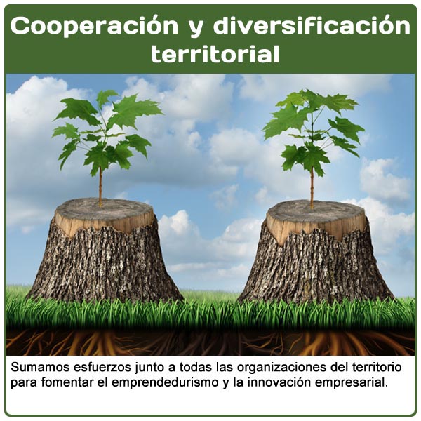 Cooperaci�n y diversificaci�n territorial