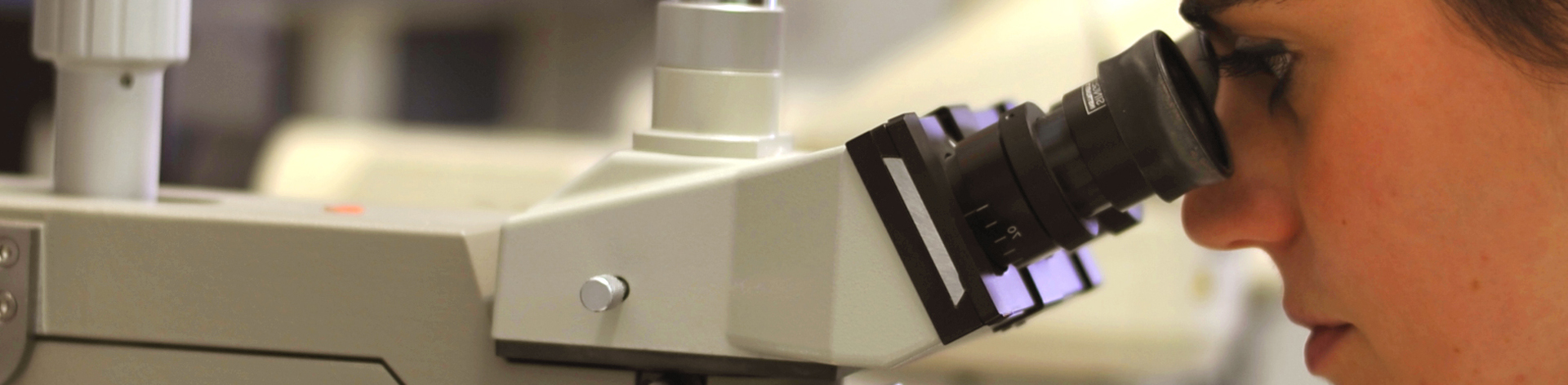 IATA - CSIC  - INSTITUTO DE AGROQU�MICA Y TECNOLOG�A DE ALIMENTOS