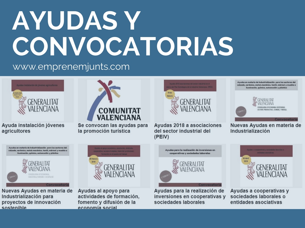 Ayudas y Subvenciones