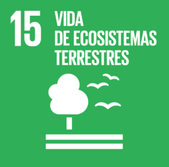 Desarrolla tu liderazgo en Indonesia