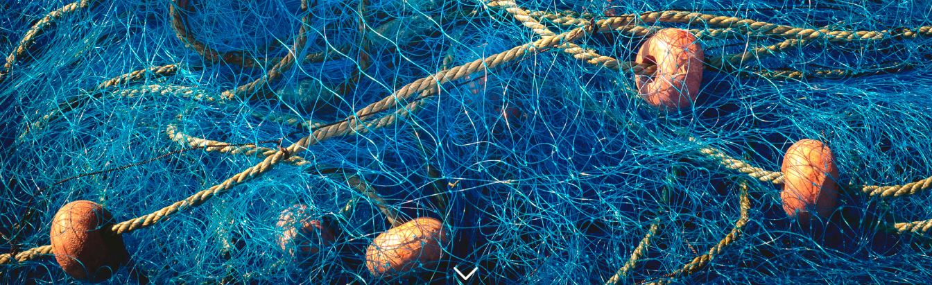 GALP Gandia-Albufera