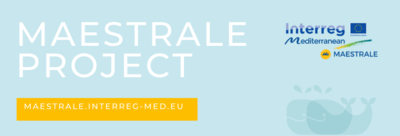 CEEI Valencia finaliza con �xito el proyecto europeo MAESTRALE