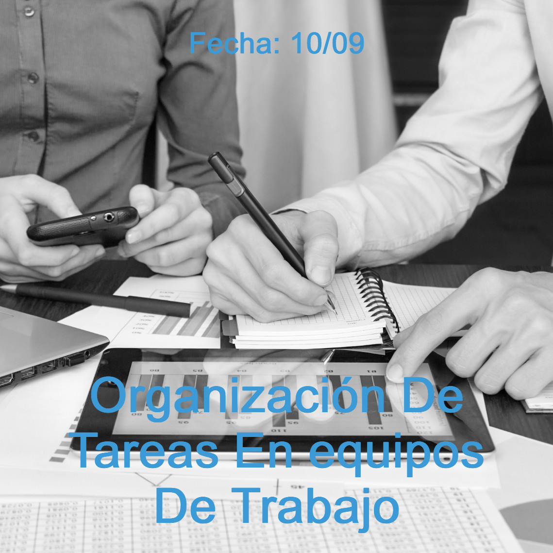 organización de tareas en equipo