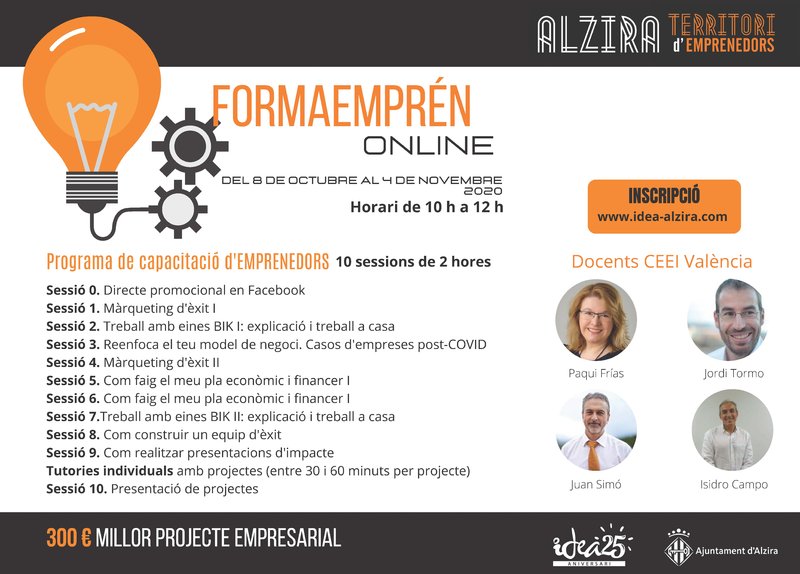 Formaempren Alzira (VIII Edici�n) On Line