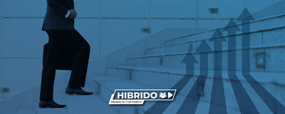 Programa De T�cnico a Directivo. Formato H�brido