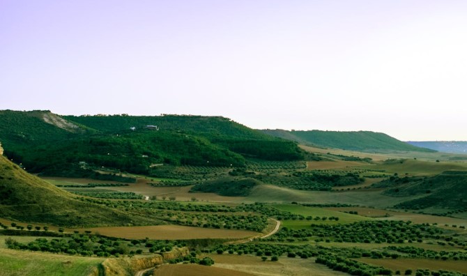 La Espa�a rural revive y gana poblaci�n por s�ptimo a�o consecutivo: La Rioja tiene buenos ejemplos