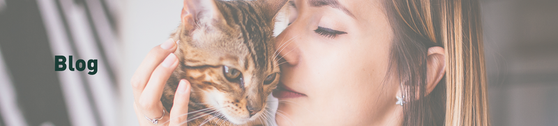 �Mantente informado con el blog de Bravery Pet Food!